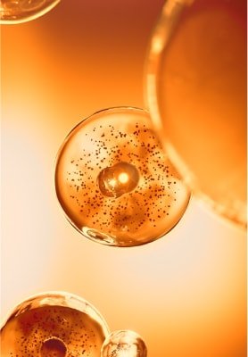 Activos anti-glicación*