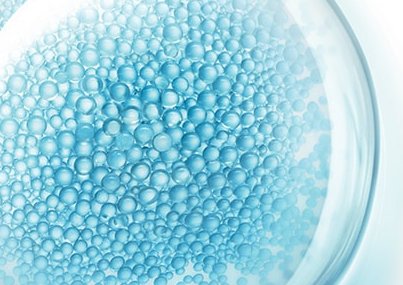 FRACCIONES DE PROBIÓTICOS