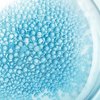 Probiotic Fractions